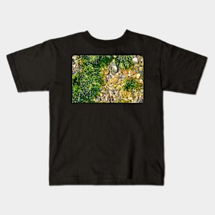 Rock Pool With Beach Pebbles & Seaweed - Abstract Coastal - #2 Kids T-Shirt